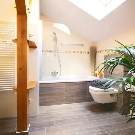 Baumann アパート Saal