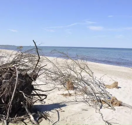 Baumann アパート Saal